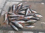 DSCF5380.JPG