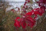 IMG_0873_resize.jpg