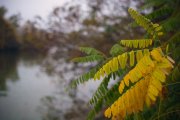 IMG_0882_resize.jpg