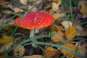 IMG_0886_resize.jpg