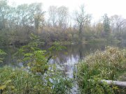 DSC05567.JPG