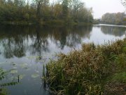 DSC05589.JPG