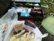 DSC05596.JPG