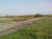 DSC05604.JPG