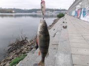 DSCF5381.JPG
