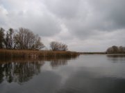 DSC08292_mini.JPG