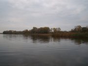 DSC08294_mini.JPG