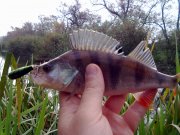 20102012548.jpg