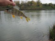 IMG_2983.JPG