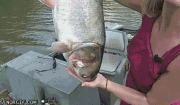 JbblCl0vU0aRMXjHJL8VA2.gif