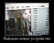 1350542075_demotivatory_05.jpg