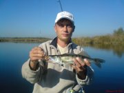 DSC00372.JPG