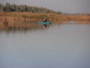 PA220041.JPG