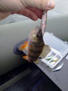 24102012656.jpg