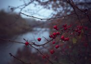 IMG_0926.jpg