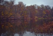 IMG_0960.jpg