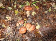 DSCF5412.JPG