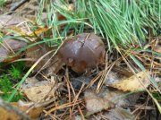 DSCF5414.JPG