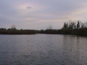DSC00098.JPG