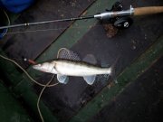 20121020_075515-.jpg