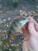 DSC01283.JPG