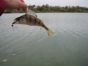 IMG_3048.JPG