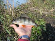 IMG_3059.JPG