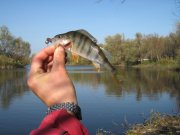 IMG_3068.JPG