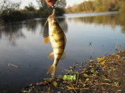 IMG_3072.JPG