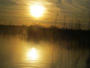 IMG_7982.JPG