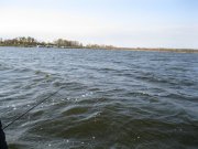 IMG_8013.JPG