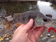 27102012559.jpg