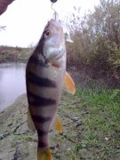 27102012561.jpg