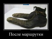 1351238259_demotivatory_02.jpg