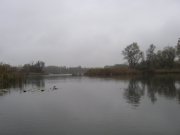 IMG_3660.JPG