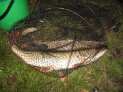 IMG_3662.JPG