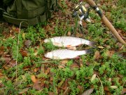 IMG_0153.JPG