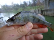 DSC00399.JPG