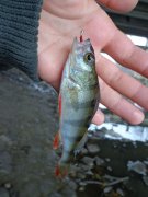 DSC00400.JPG