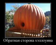 1351597076_demotivatory_07.jpg