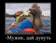 1351597118_demotivatory_05.jpg