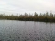 DSC05622.JPG