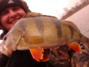 IMG_20121028_104317.jpg