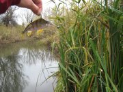 IMG_3084.JPG
