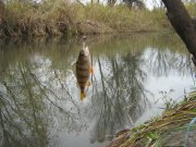 IMG_3086.JPG