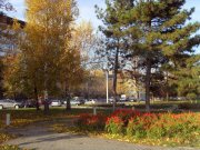 SDC16973s.JPG