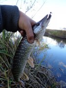 DSC00442.JPG