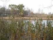 IMG_1105.JPG