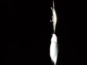 DSCN4457.jpg