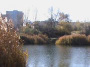 DSC00140.JPG